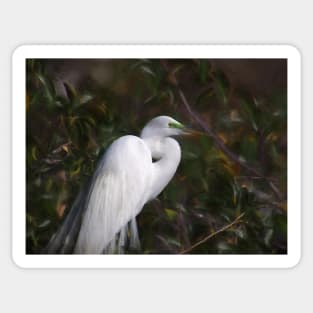 Great Egret Breeding Mask Sticker